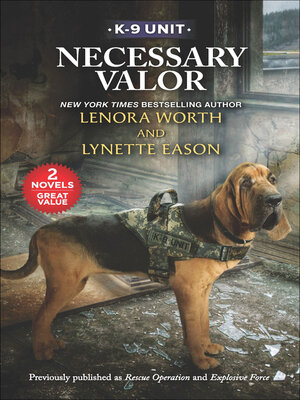 Necessary Valor - ebook